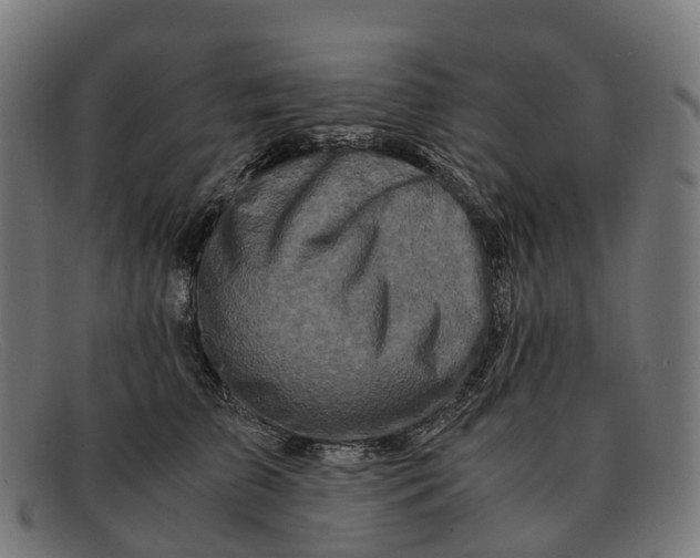 X0000091490709200709131830
