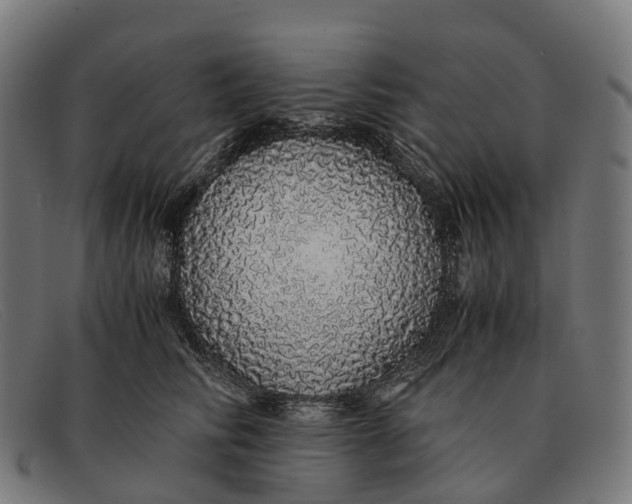 X0000091490710200709131830