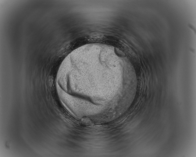 X0000091490711200709131830