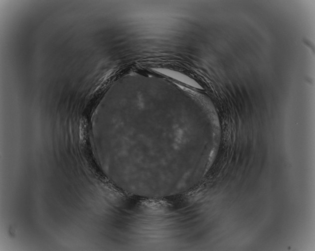 X0000091490712200709131830