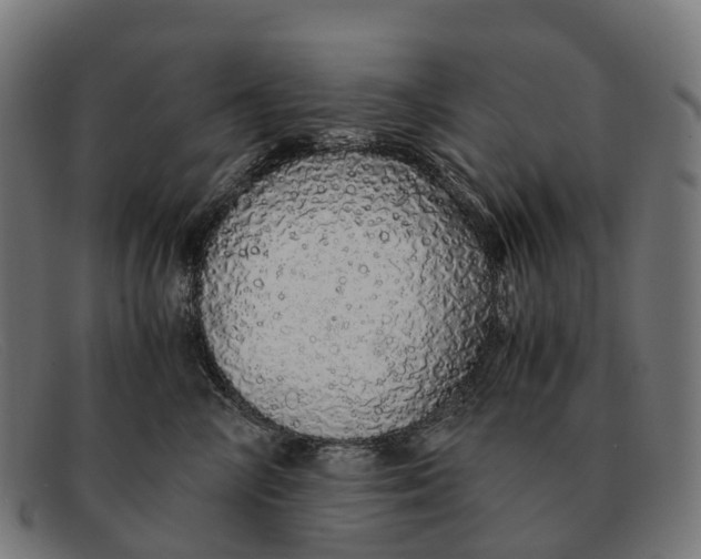 X0000091490714200709131830