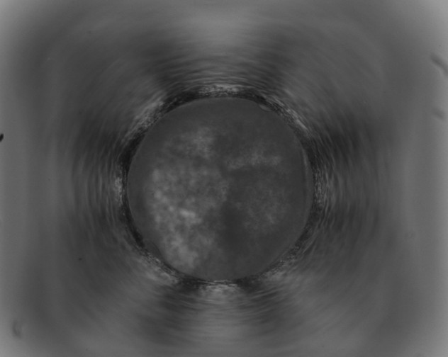X0000091490716200709131830