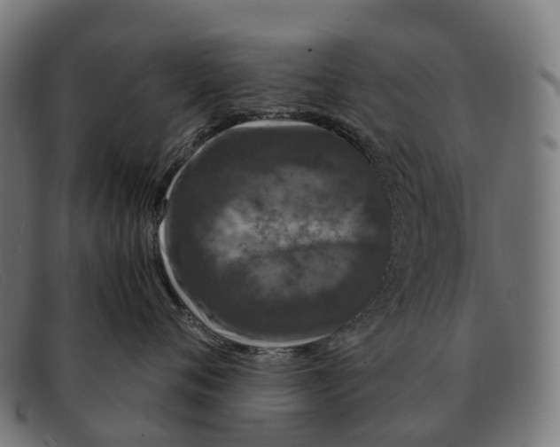 X0000091490720200709131830