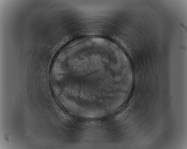 X0000091490721200709131830