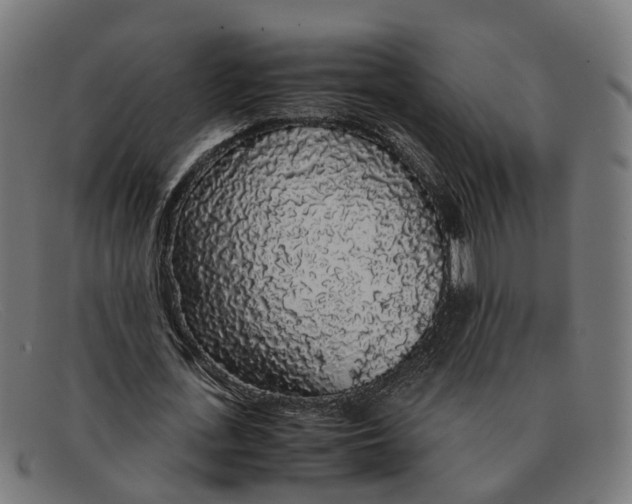 X0000091490723200709131830