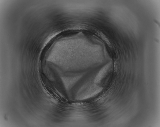 X0000091490724200709131830