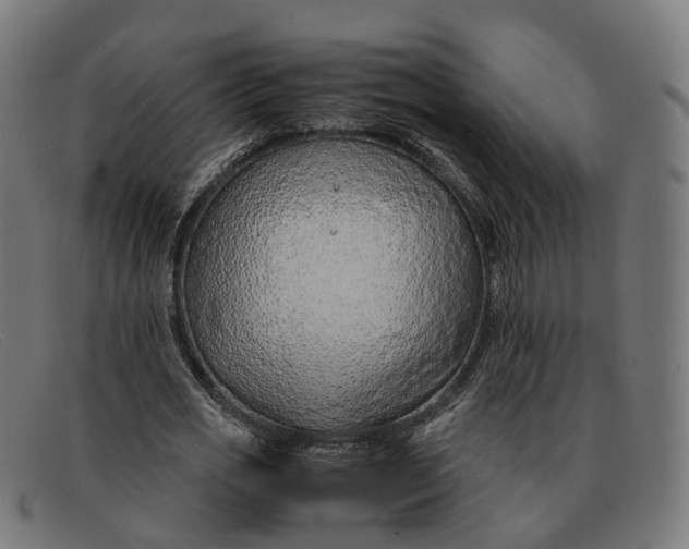 X0000091490725200709131830