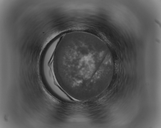 X0000091490726200709131830