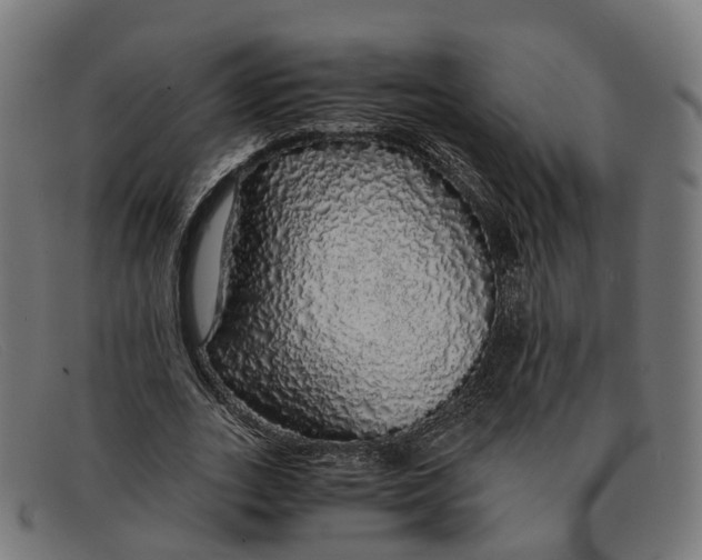 X0000091490727200709131830