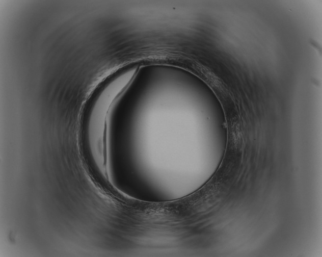 X0000091490728200709131830