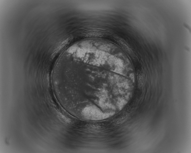 X0000091490729200709131830