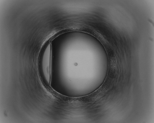 X0000091490730200709131830