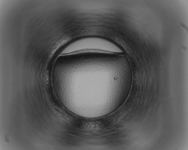 X0000091490731200709131830
