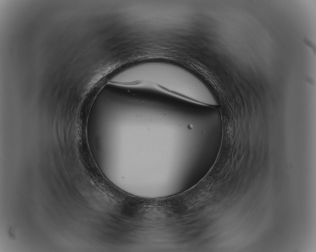 X0000091490732200709131830