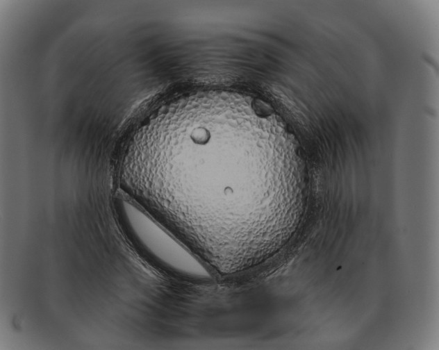 X0000091490733200709131830