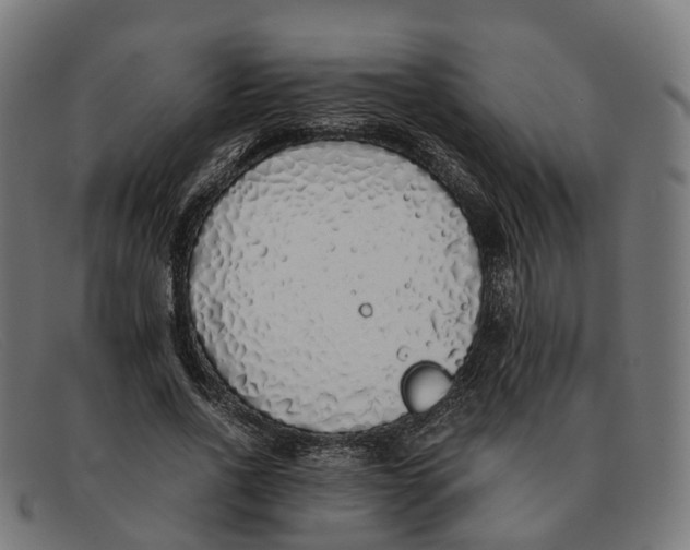 X0000091490734200709131830