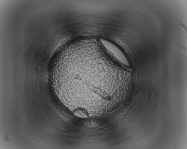 X0000091490735200709131830