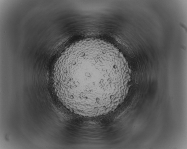 X0000091490737200709131830