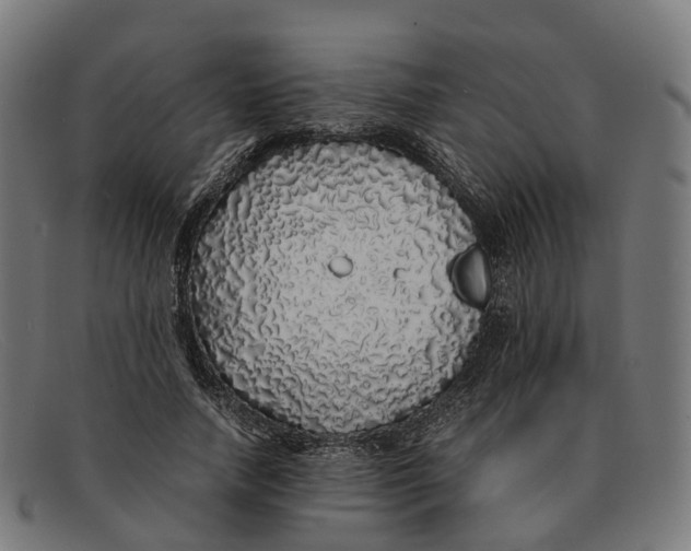 X0000091490738200709131830