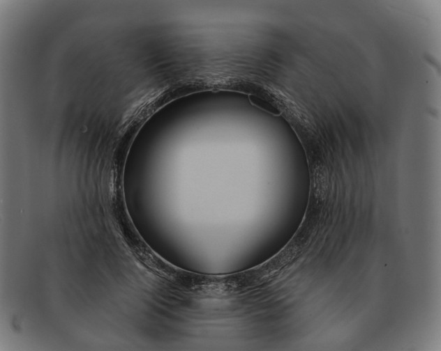 X0000091490740200709131830