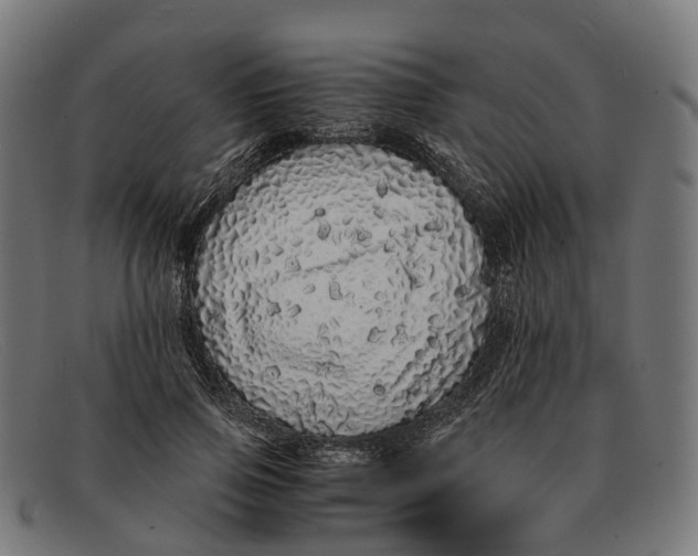 X0000091490741200709131830