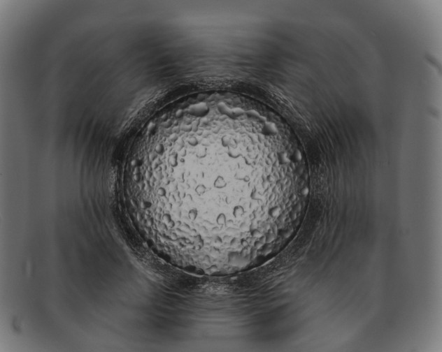 X0000091490742200709131830