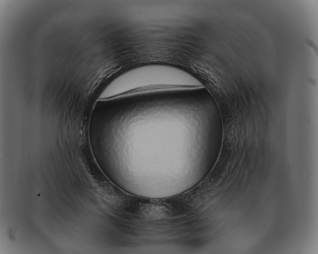 X0000091490743200709131830