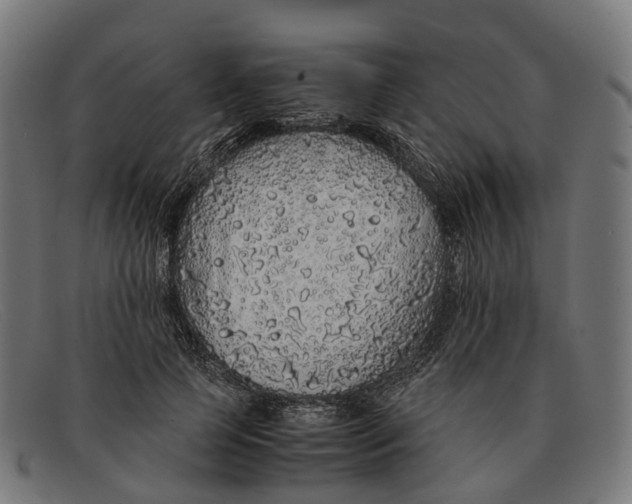 X0000091490745200709131830