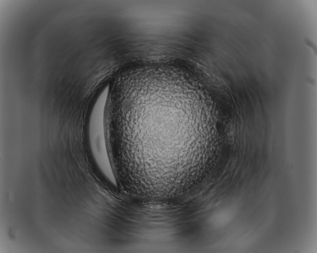 X0000091490746200709131830