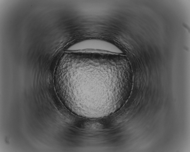 X0000091490747200709131830