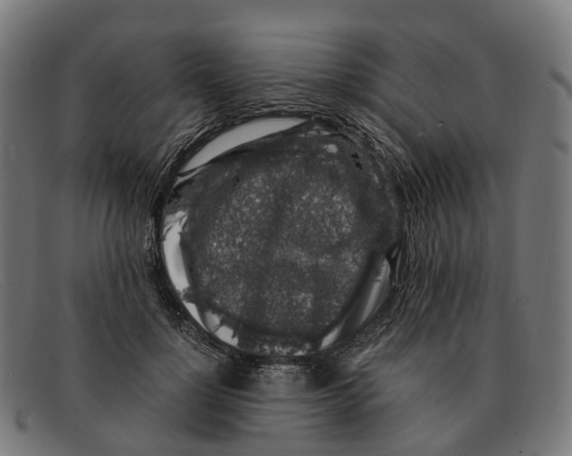 X0000091490748200709131830