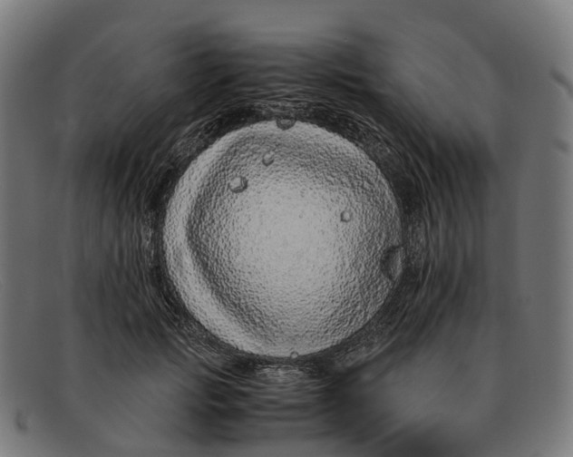 X0000091490749200709131830