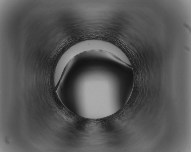 X0000091490750200709131830