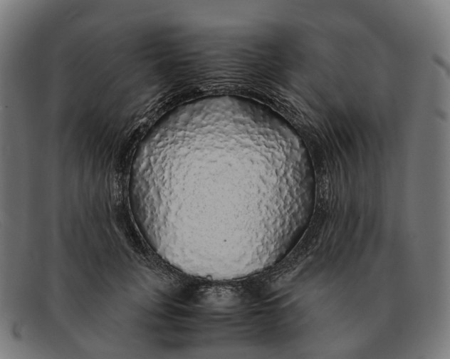 X0000091490751200709131830