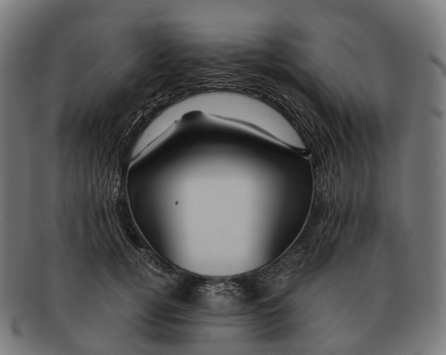 X0000091490752200709131830