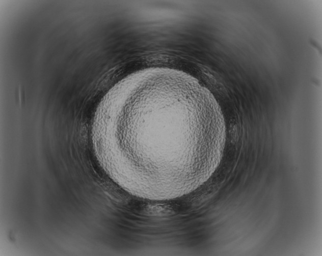 X0000091490753200709131830