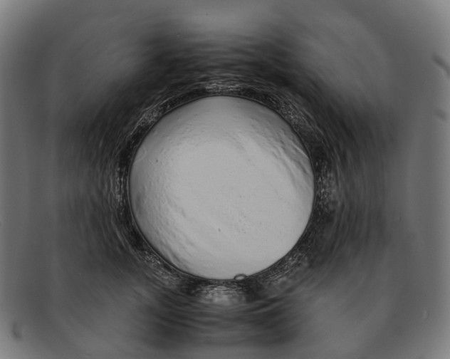 X0000091490755200709131830
