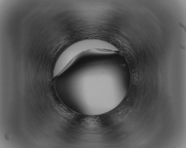 X0000091490756200709131830