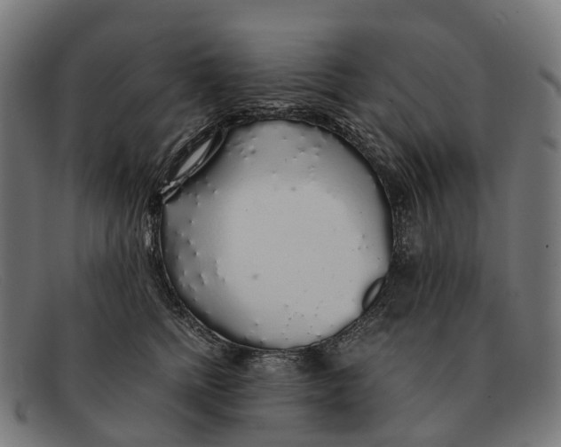 X0000091490758200709131830