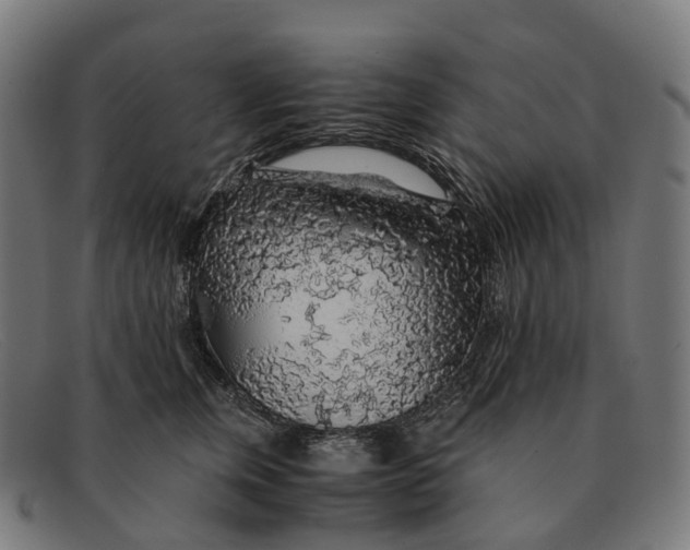 X0000091490759200709131830