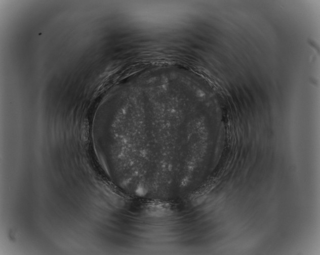 X0000091490760200709131830