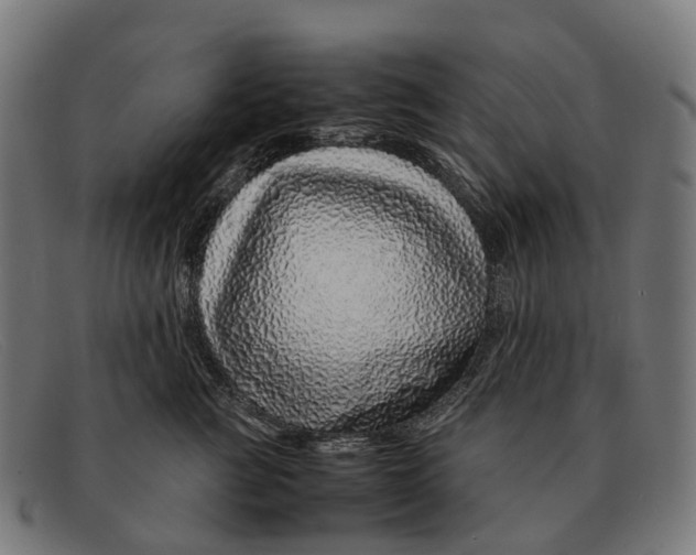X0000091490761200709131830