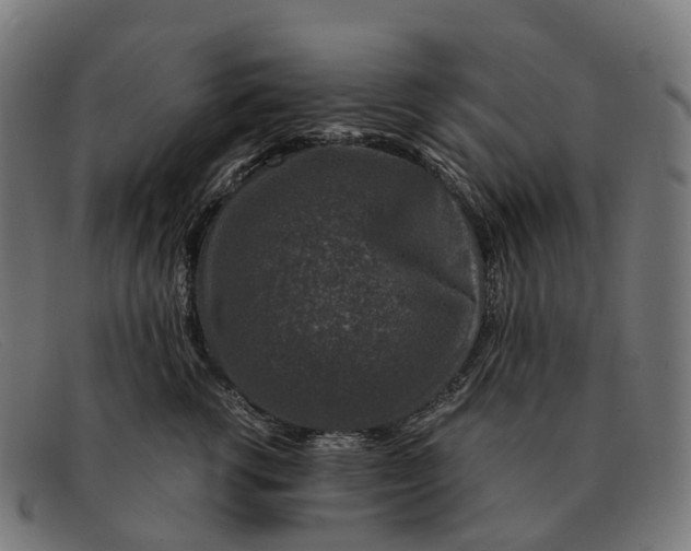 X0000091490762200709131830