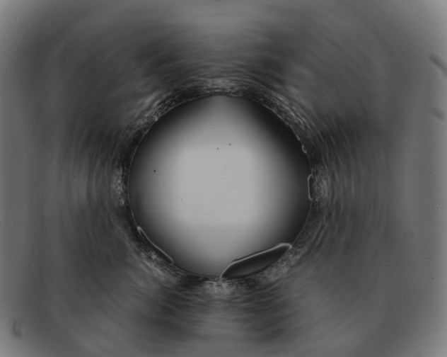 X0000091490764200709131830