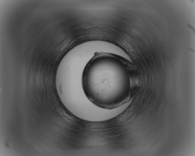X0000091490766200709131830