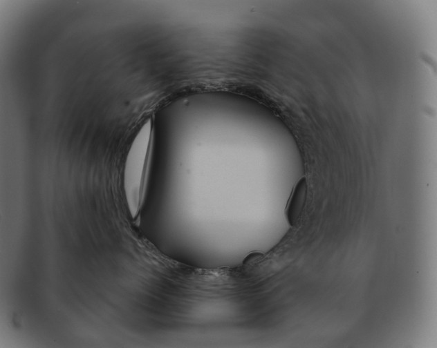 X0000091490768200709131830
