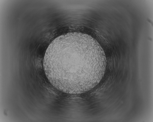 X0000091490770200709131830