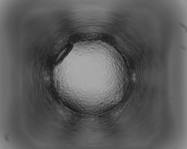 X0000091490771200709131830