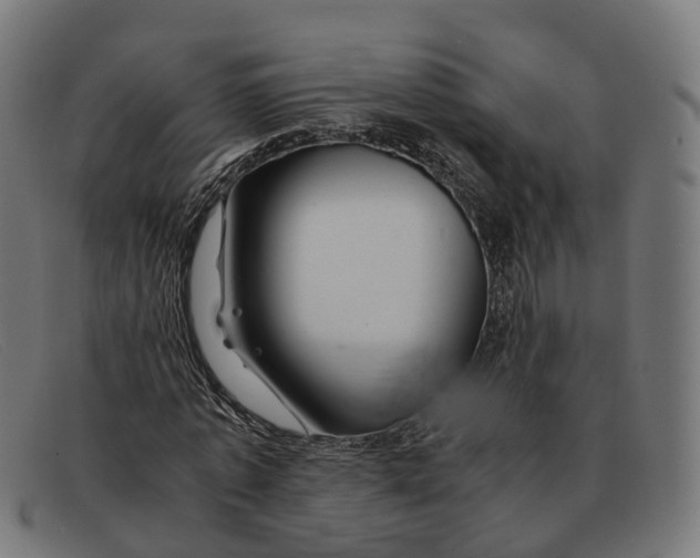 X0000091490773200709131830