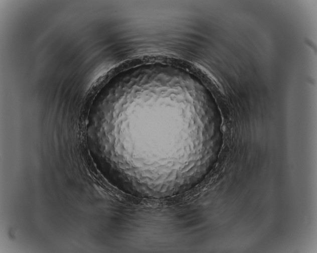 X0000091490775200709131830